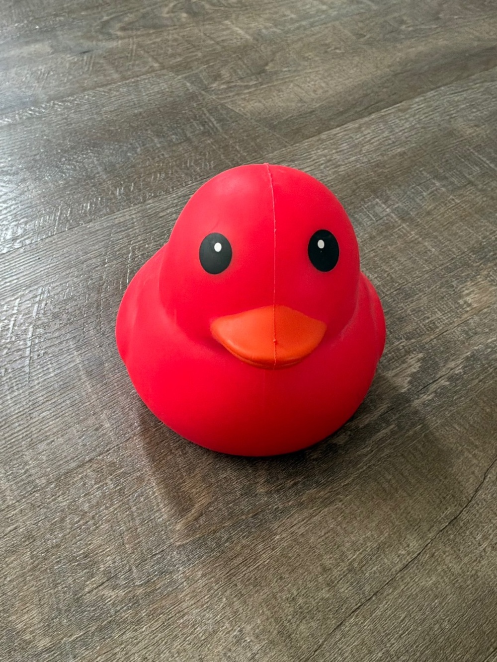 Sunny Days Red Duck